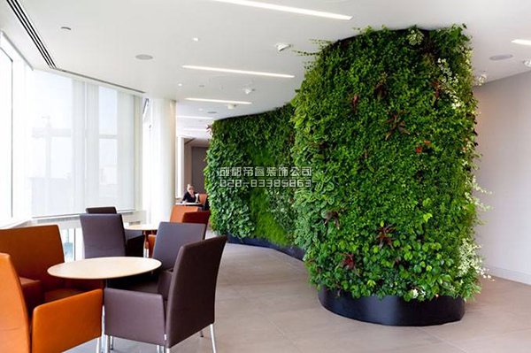 办公室装修完以后摆放什么绿植好？